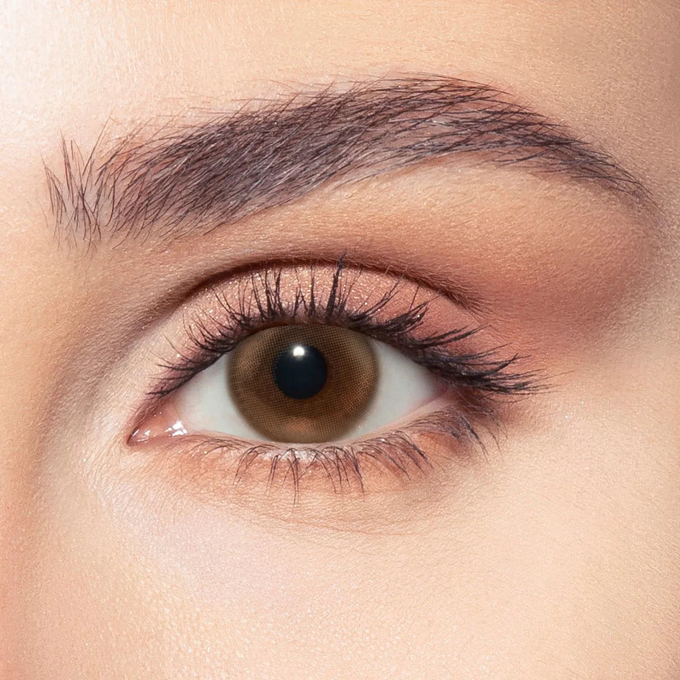 بيلا اليوميه سايرن براونز