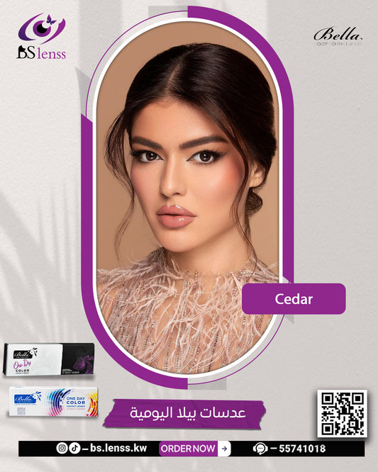 بيلا اليومية سيدر