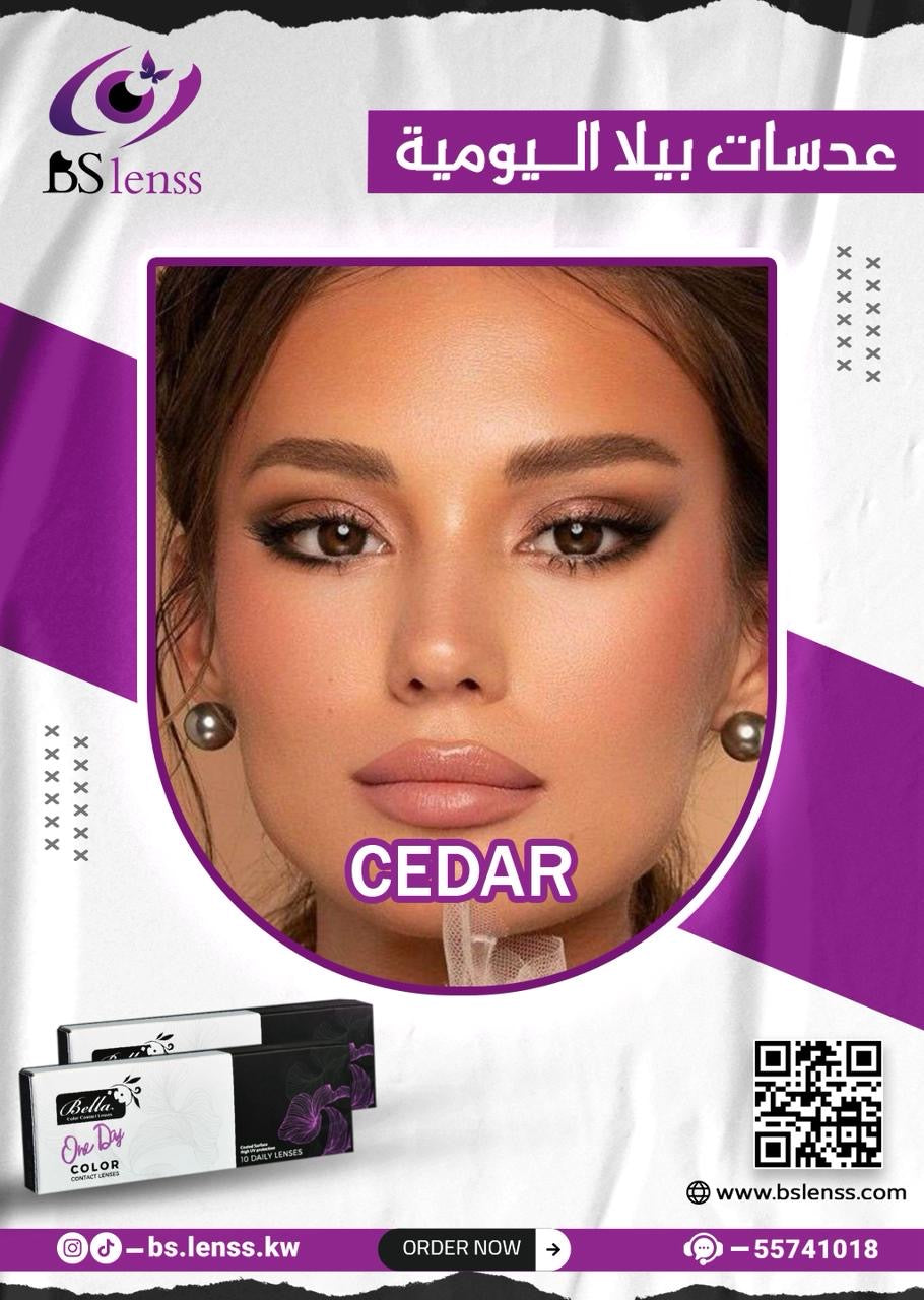 بيلا اليومية سيدر
